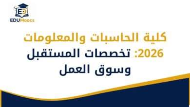 كلية الحاسبات والمعلومات