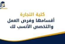 كلية التجارة
