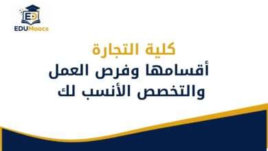 كلية التجارة