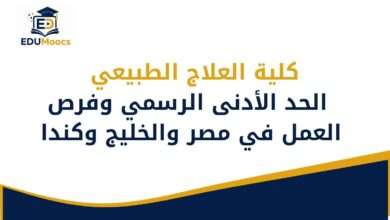 كلية العلاج الطبيعي
